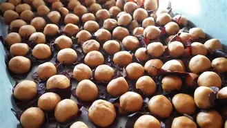 九游体育下载-四}樄豦趡?曪丛蹋软肰w/濦轭僤dJz瑣u荄?